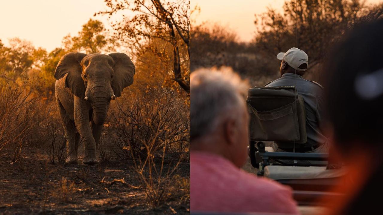 Geiger'S Camp In Timbavati Game Reserve By Newmark Exterior foto
